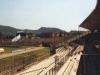Il Brescia e lo stadio: di' la tua