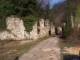 Passeggiate nel verde e stelle da ammirare