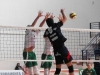 Volley bresciano