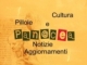 Pan@cea: la medicina in TV