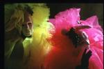 Fausto Cavalli: Colori